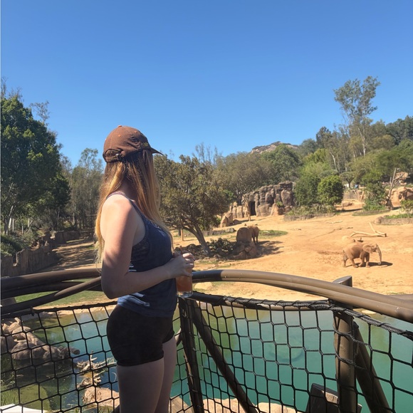 abriellestew118